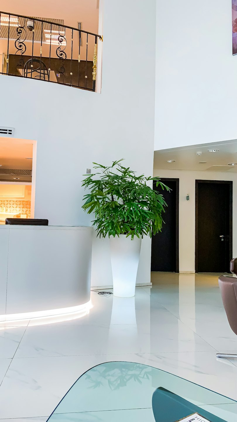Nowoczesne lobby biurowe z białym biurkiem i zieloną rośliną.